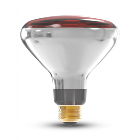 Luz Especial Infra Rojo R125 250W E27